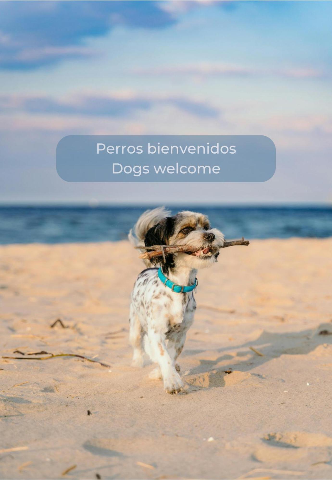 Maracuya Con Piscina, Terraza, Smart Tv, Cocina Completa Y Wifi Daire Corralejo Dış mekan fotoğraf