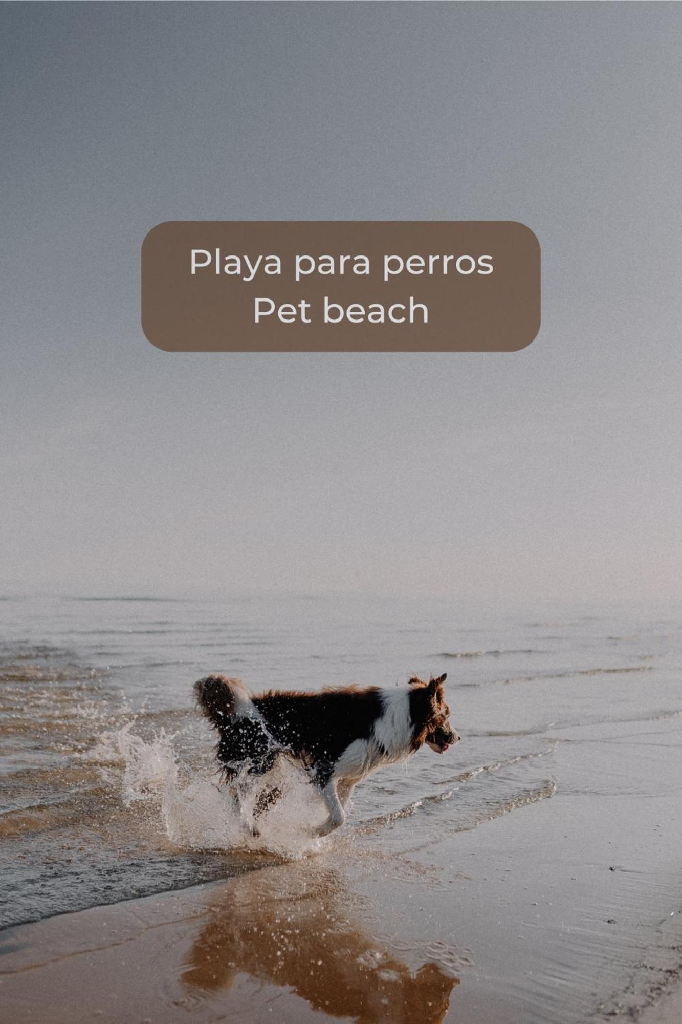 Maracuya Con Piscina, Terraza, Smart Tv, Cocina Completa Y Wifi Daire Corralejo Dış mekan fotoğraf